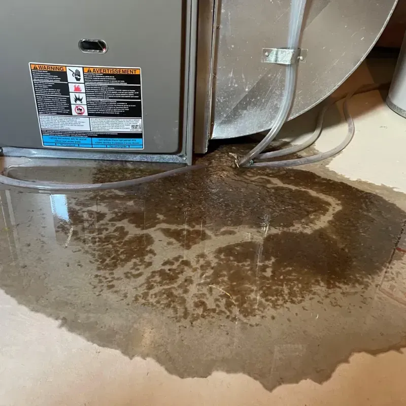 Appliance Leak Cleanup in Liberty, NC